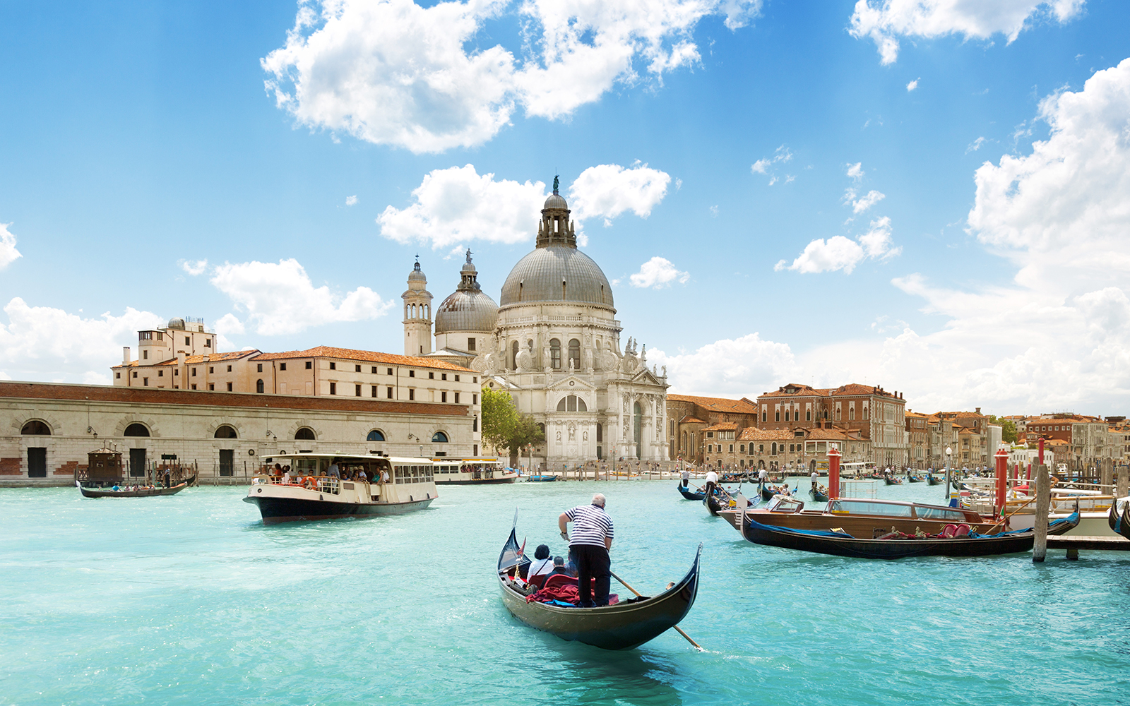 10 Museums In Venice You Ought To Visit Now Venice Museum Guide